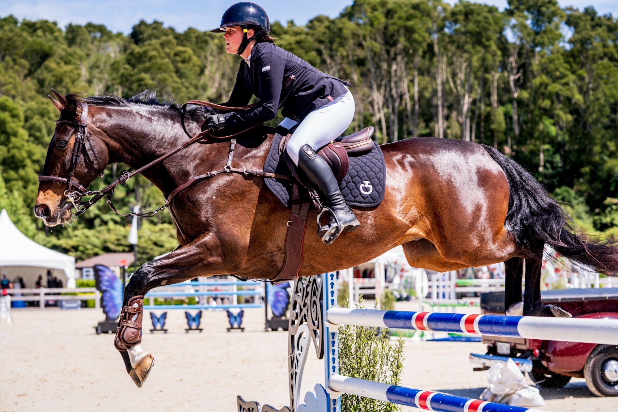 Maya Hegh - Show Jumping